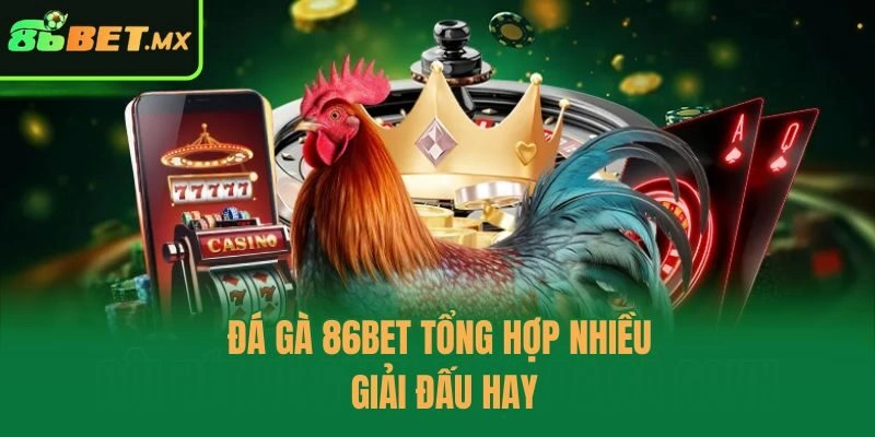 Đá gà 86bet tổng hợp nhiều giải đấu hay