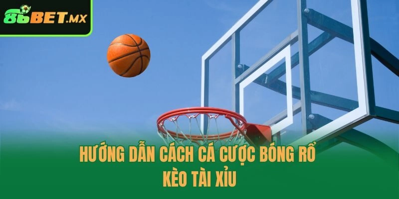 Hướng dẫn cách cá cược bóng rổ kèo tài xỉu